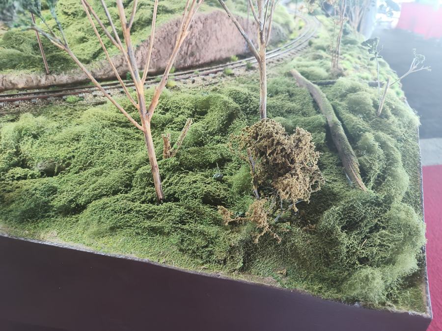 Scrub scenery